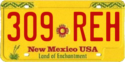 NM license plate 309REH