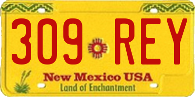NM license plate 309REY