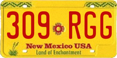 NM license plate 309RGG