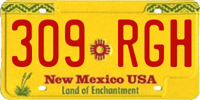 NM license plate 309RGH