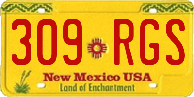 NM license plate 309RGS