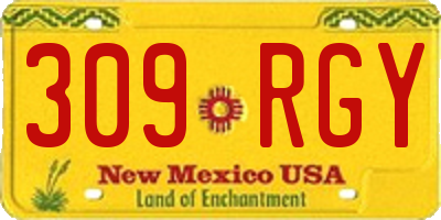 NM license plate 309RGY