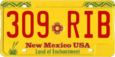 NM license plate 309RIB