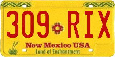 NM license plate 309RIX