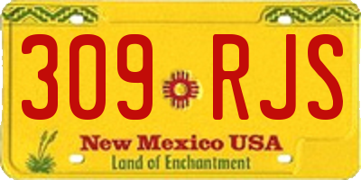 NM license plate 309RJS