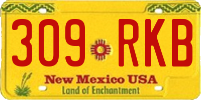 NM license plate 309RKB