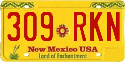 NM license plate 309RKN