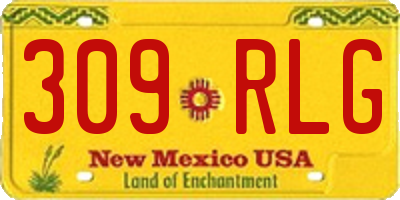 NM license plate 309RLG