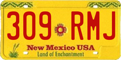 NM license plate 309RMJ
