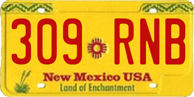 NM license plate 309RNB