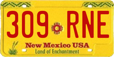 NM license plate 309RNE