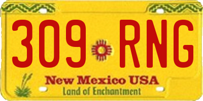 NM license plate 309RNG