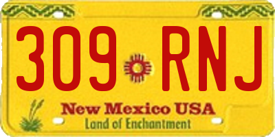 NM license plate 309RNJ