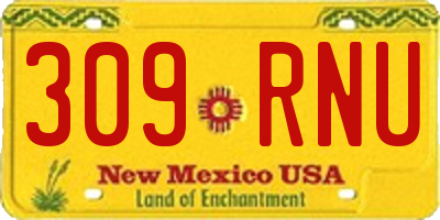 NM license plate 309RNU