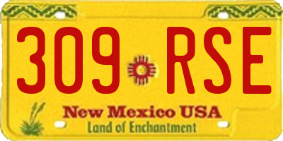 NM license plate 309RSE