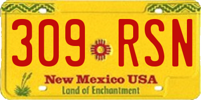 NM license plate 309RSN