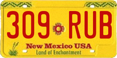 NM license plate 309RUB
