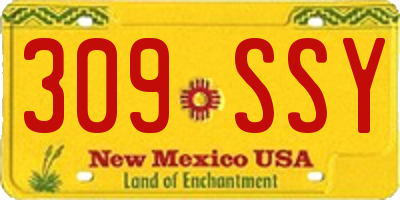 NM license plate 309SSY