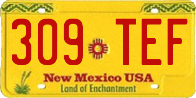 NM license plate 309TEF