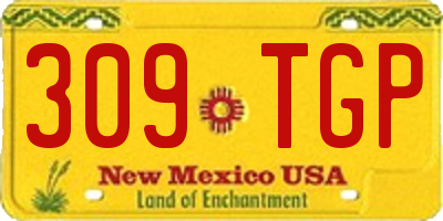 NM license plate 309TGP