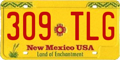 NM license plate 309TLG