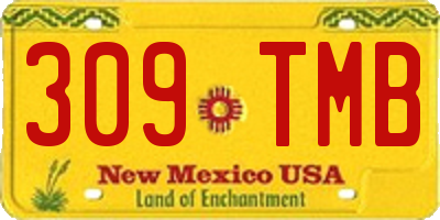 NM license plate 309TMB