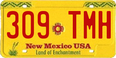 NM license plate 309TMH