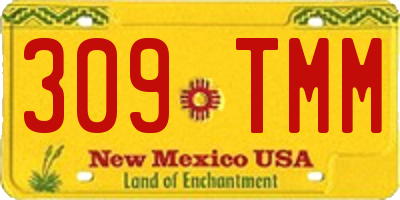 NM license plate 309TMM