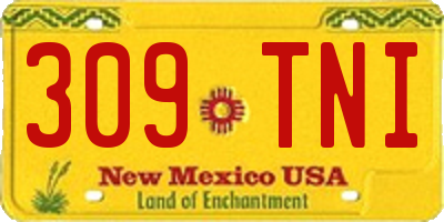NM license plate 309TNI