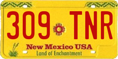 NM license plate 309TNR