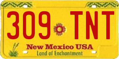NM license plate 309TNT