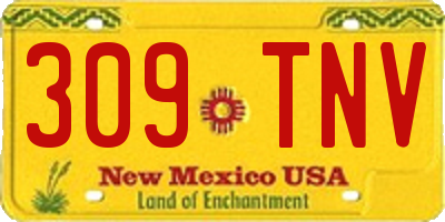 NM license plate 309TNV