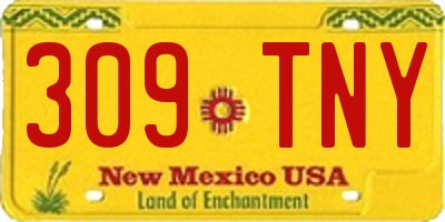 NM license plate 309TNY