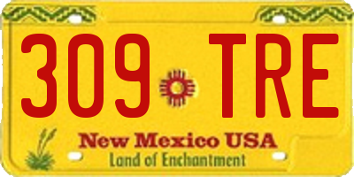 NM license plate 309TRE