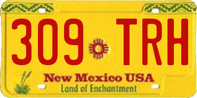NM license plate 309TRH