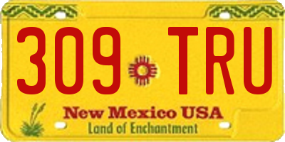 NM license plate 309TRU