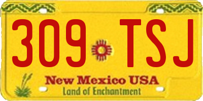 NM license plate 309TSJ