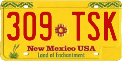 NM license plate 309TSK