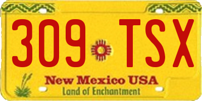 NM license plate 309TSX