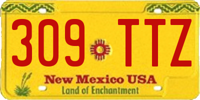 NM license plate 309TTZ