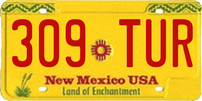 NM license plate 309TUR