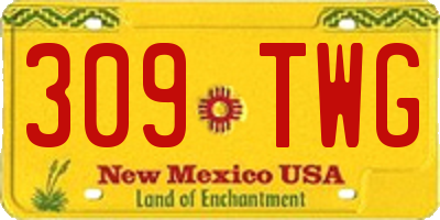 NM license plate 309TWG