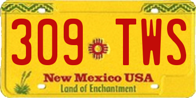 NM license plate 309TWS