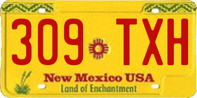 NM license plate 309TXH