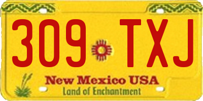 NM license plate 309TXJ