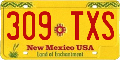 NM license plate 309TXS