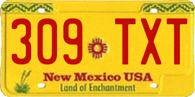 NM license plate 309TXT