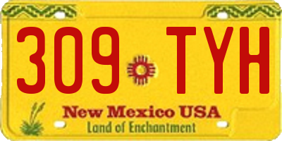 NM license plate 309TYH
