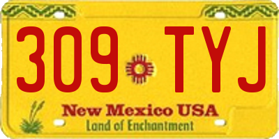 NM license plate 309TYJ