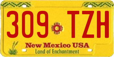NM license plate 309TZH
